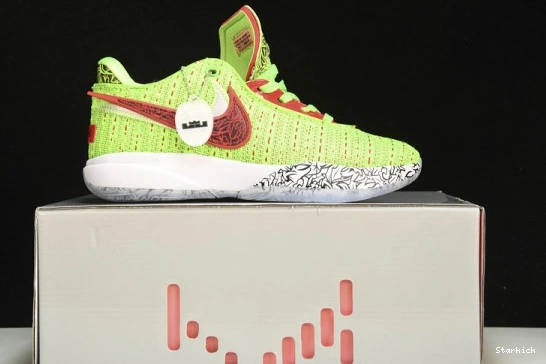 Stocking Stuffer  LeBron 20  FJ4955-300 Nike 0318